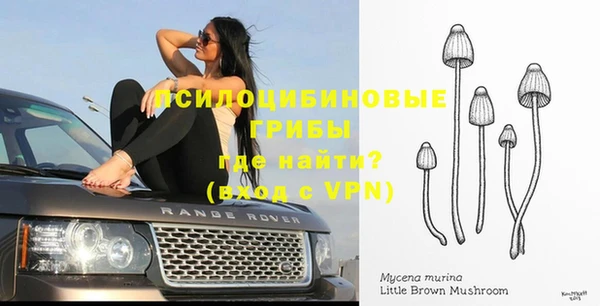 индика Новокубанск