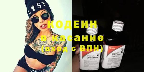 индика Новокубанск