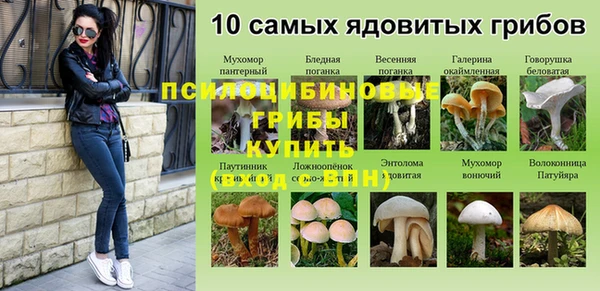 кристаллы Новодвинск