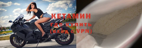 индика Новокубанск