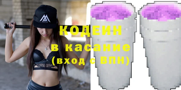 индика Новокубанск