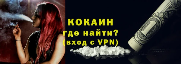 индика Новокубанск