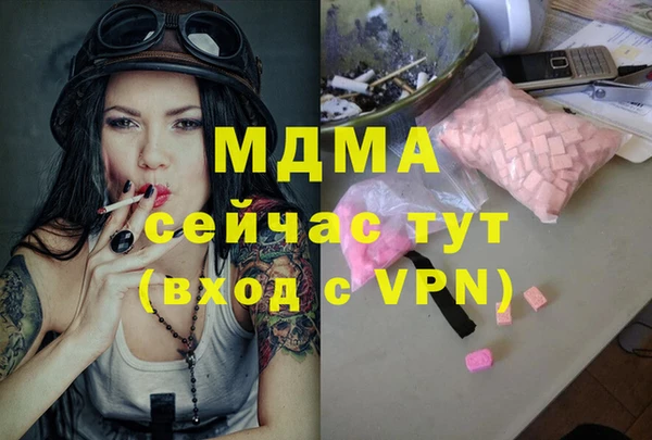 индика Новокубанск
