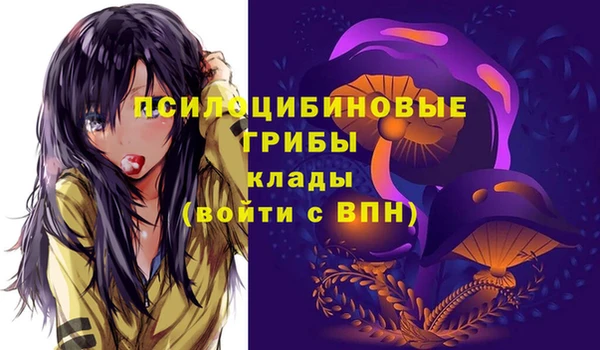 индика Новокубанск
