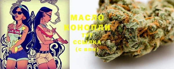 индика Новокубанск