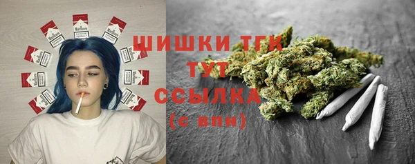 индика Новокубанск